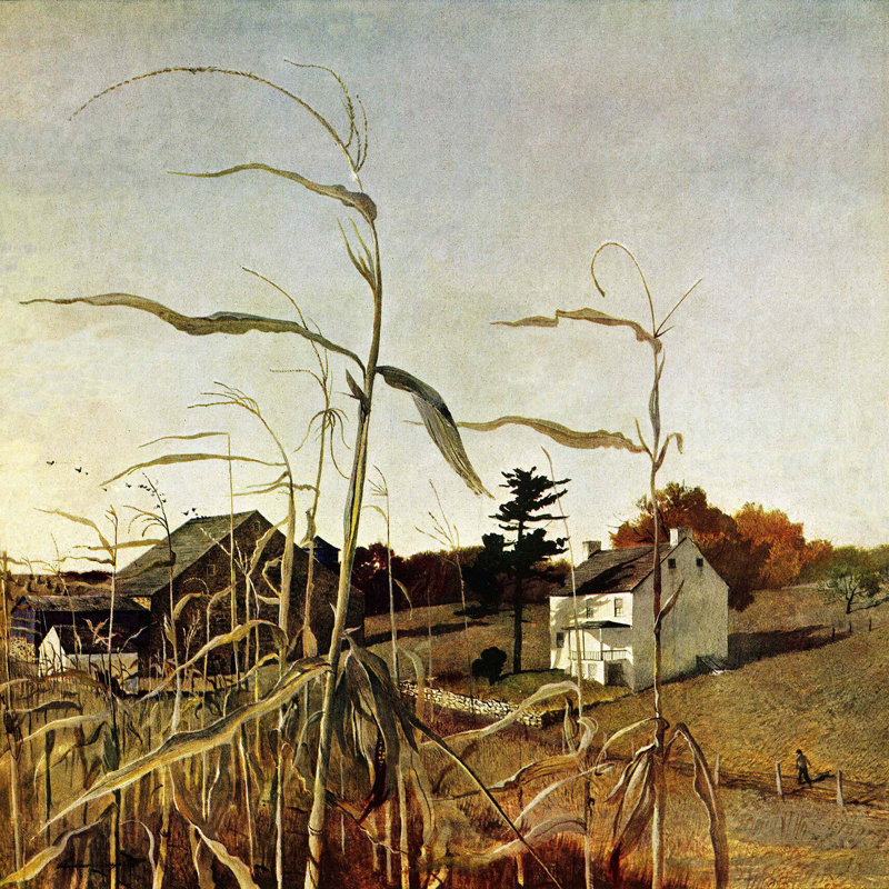 Autumn Cornfield by Andrew Wyeth - Wrapped Canvas Print, 46 cm H x 46 cm W