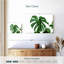 Feuille Harnek Monstera-108695137
