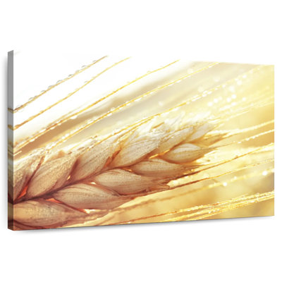 Harnek Wheat