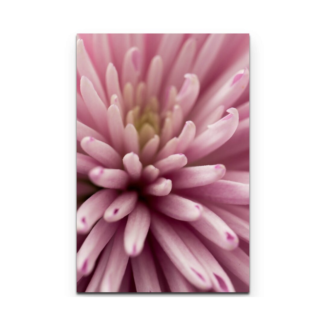 Leinwandbild Pinke Blume – Nahaufnahme