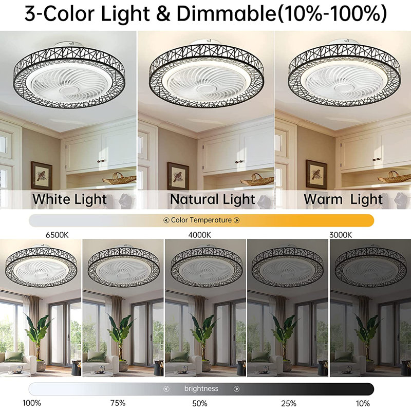 Delena 20'' Ceiling Fan with LED Lights