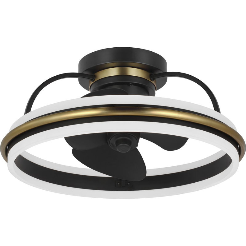 Burnett 20'' Ceiling Fan with LED Lights, Matte Black