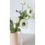 White Ranunculus 18.5"