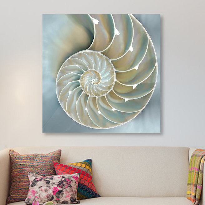 «Nautilus in Blue II», impression sur toile, H 12 po x l 12 po x P 0,75 po, Pas de tapis, Toile tendue