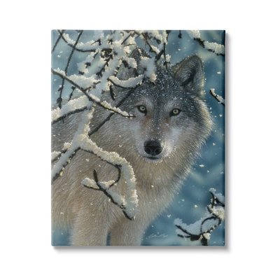 " Wolf Behind Snowy Branches Winter Wild Forest Animal "