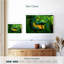 Brametta vert, jaune, poisson Betta-108887935