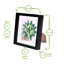 Nicola Spring - 3D Box Photo Frames-55856976-55856984