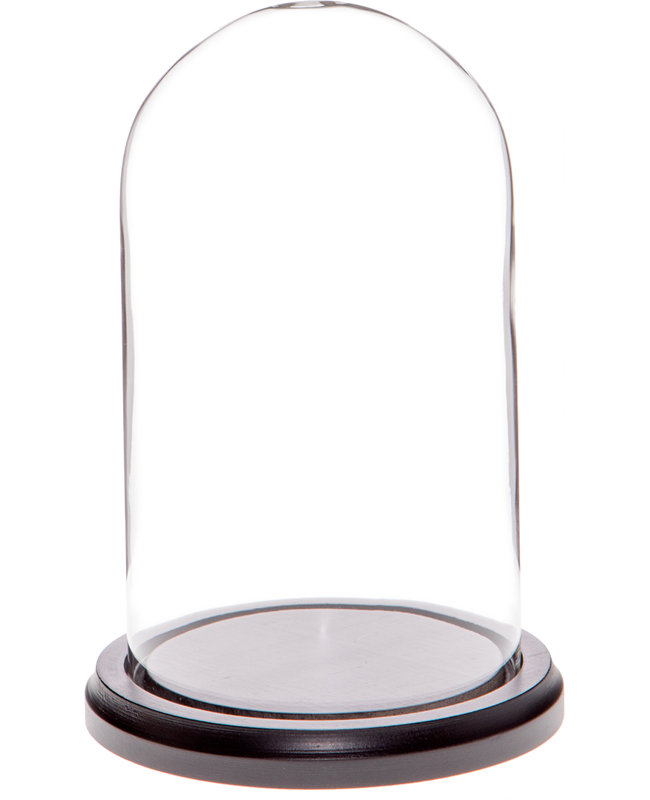 Cloche en verre 4 "x 7" Jenett, Structure noire en bois