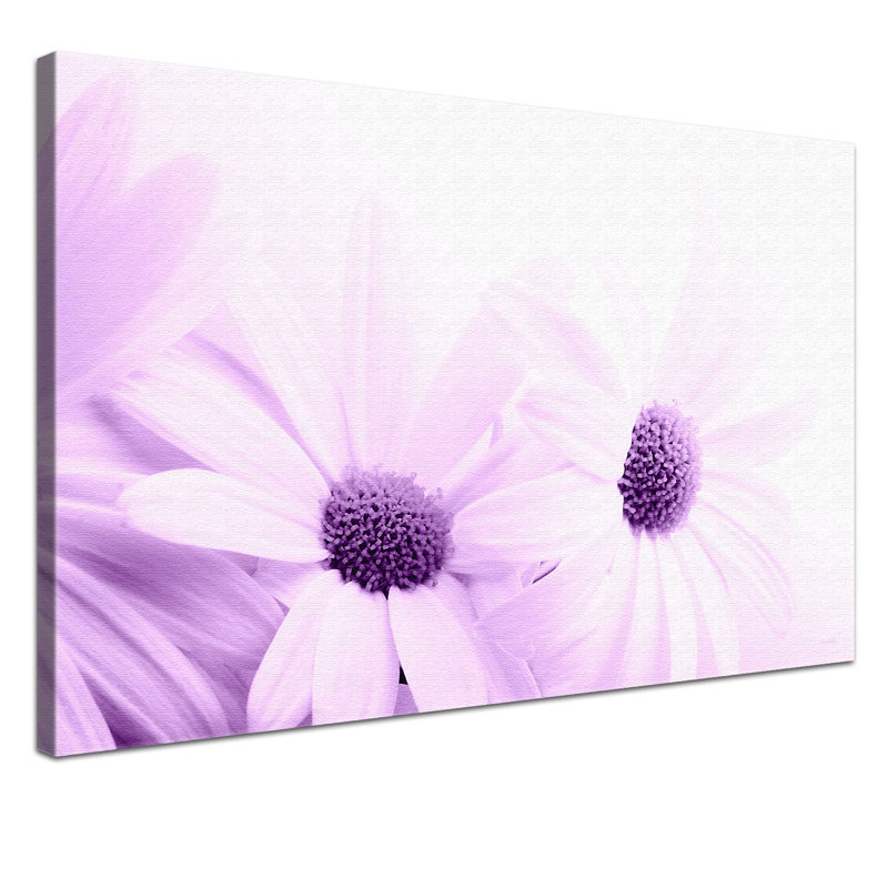 Camomile - Print on Canvas, 100cm H x 150cm W x 2cm D