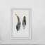 «Fluffy Feathers», reproduction encadrée-1338008897