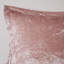 Housse de couette en velours rosé pour lit simple / simple TG avec coussin décoratif intérieur en microfibre Luxury