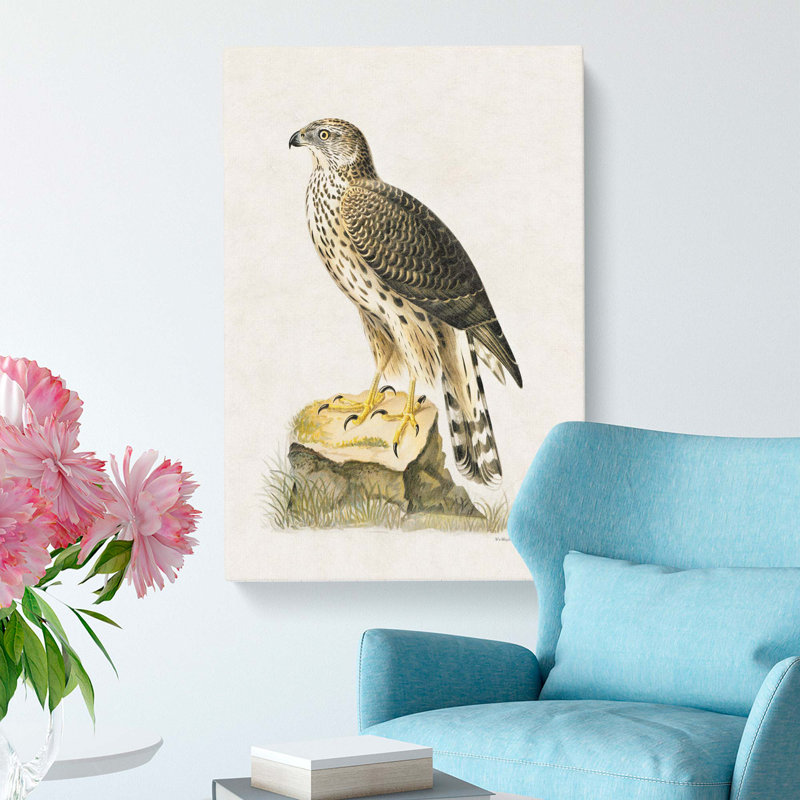 Goshawk by Von Wright - Wrapped Canvas, 91cm H x 60cm W x 3cm D
