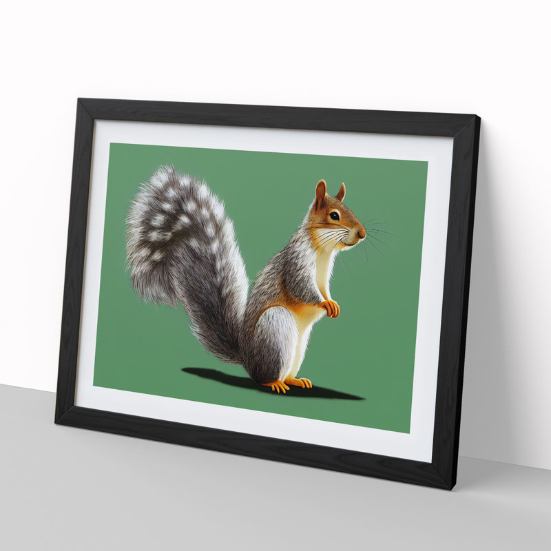 Beauteous Squirrel - Single Picture Frame Print, Black Framed, 25cm H x 34cm W x 2cm D