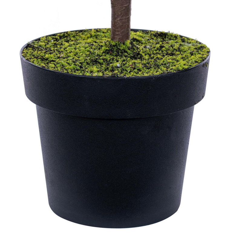 Le pin Norfolk vert en pot Holiday Aisle®., 40.5"