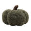 Orange Cushion-1634585656