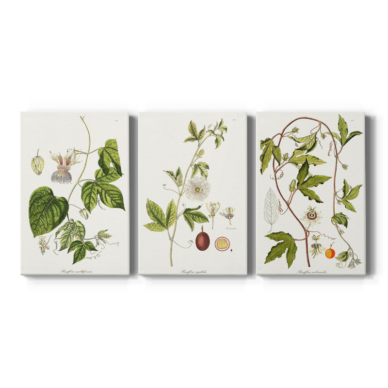 Passion Flower Trio I - Toile tendue avec châssis sur mesure - 3 pièces, H 12 po x l 24 po