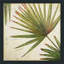 Organic II par Patricia Pinto - Peinture-2128418559-2128418549