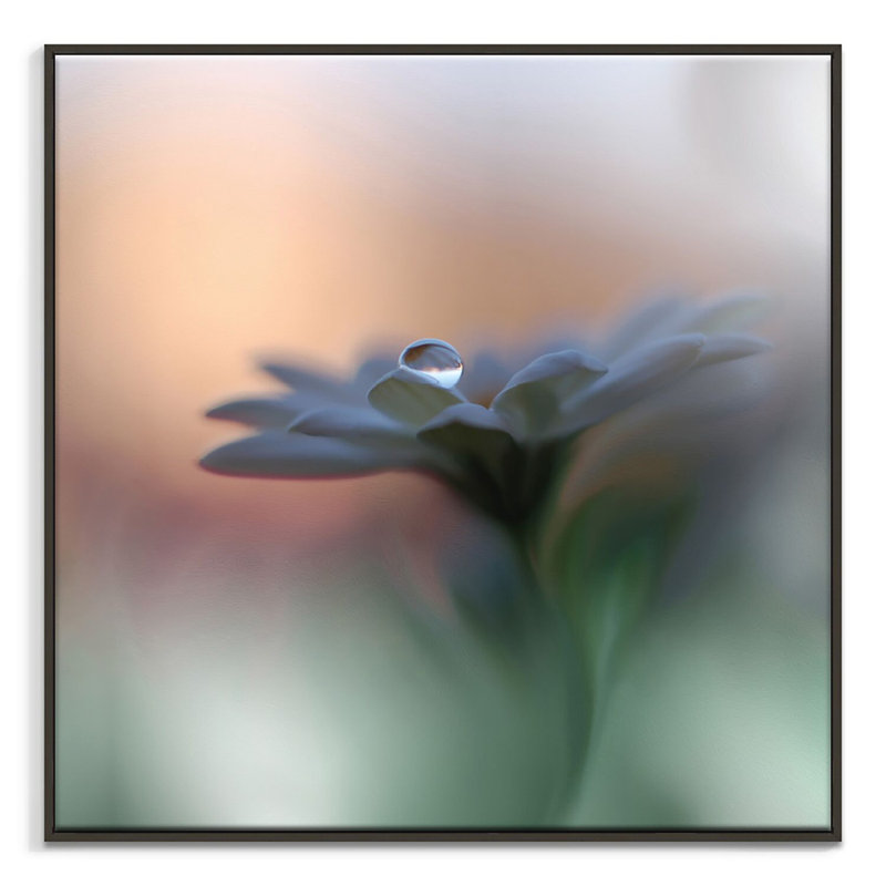 1 Piece Wall Art on Canvas, 76cm H x 76cm W, Black Floater Frame