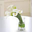 Calla Lily In Cylinder Vase