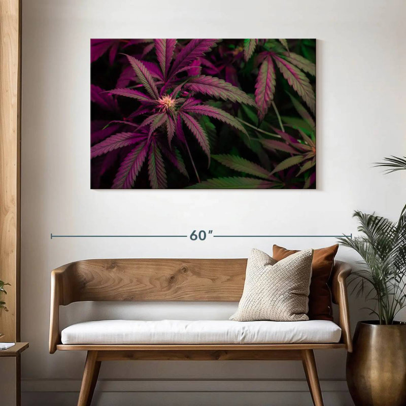 Lavande, marijuana, H 30 po x l 45 po