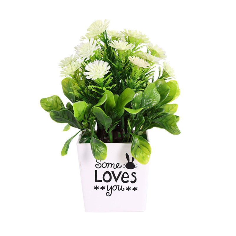 Arrangement floral de chrysanthèmes en pot, Blanc