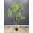 Artificial Japanese Enkianthus Tree Faux-967423160