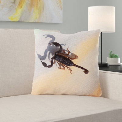 Coussin constellations