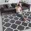 Ava Grey Printed Area Rug - Soft, Durable & Stain-Resistant Living Room Rug-328825384