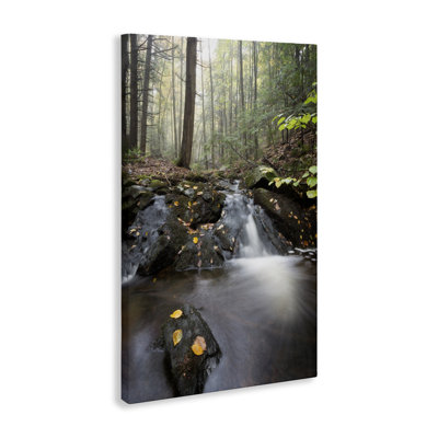 Misty Stream Adirondacks, conception de James Rodewald