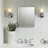 Derring Recessed Frameless Medicine Cabinet with 2 Adjustable Shelves and Interior Mirror