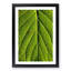 Leaf Pathways - Picture Frame Painting Print-55581494-55581497