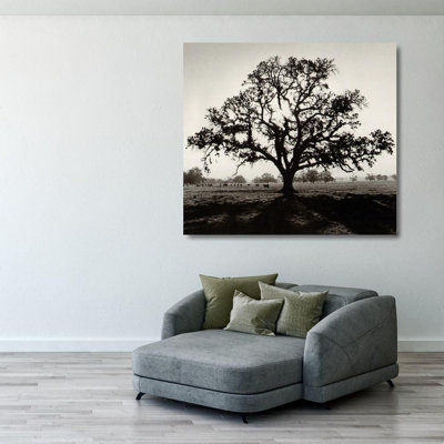 Oaktree, Sunrise