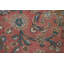 Tapis traditionnel rose 10 x 13