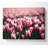 Pink Tulips Spring - Wrapped Canvas Art Prints-1907277619
