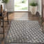Hand-Knotted High-Quality Taupe Area Rug-49714994