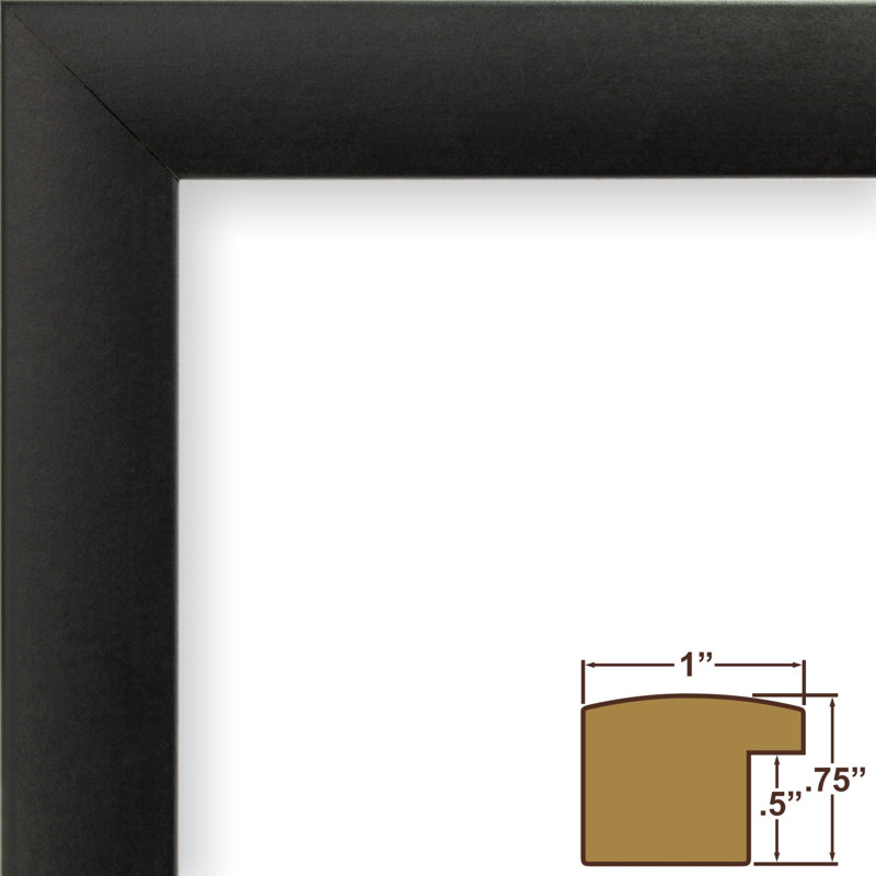 Rogerick Black Matte Picture Frame with Mat, 8.5" x 11" Matted to 6" x 9"