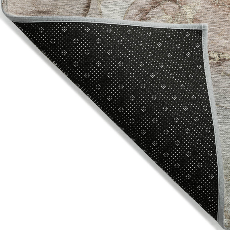 Tapis intérieur / extérieur Alfonzo avec envers antidérapant, Rectangle 5 pi x 7 pi 6 po