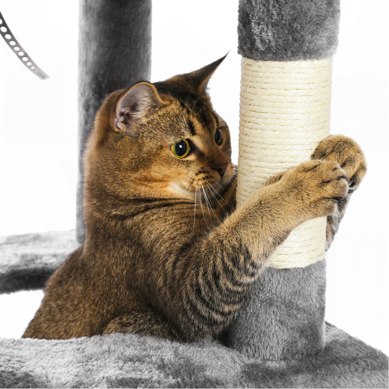 Tour d'arbre à chat 60,6 po à plusieurs niveaux pour chats d'intérieur avec poteau à griffes recouvert de sisal, condo pour chat confortable, hamac pour chat et perchoir à large plateau