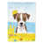 Jack Russell terrier à poils courts