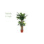 Plante artificielle en pot 48 po Dracaena
