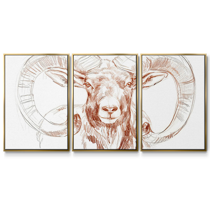 Big Horn Sheep I 3 pièces, H 24 po x l 48 po x P 2 po, Encadrement doré