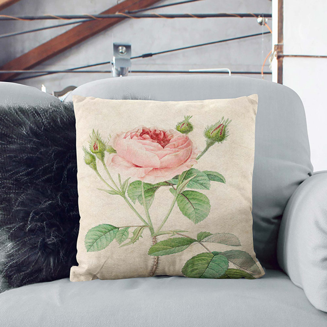 A Rose by Pierre-Joseph Redoute Cushion with Filling