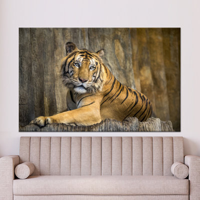 Élégant art mural tigre: impression sur verre moderne, décor de toile loft, toile tendue 1P