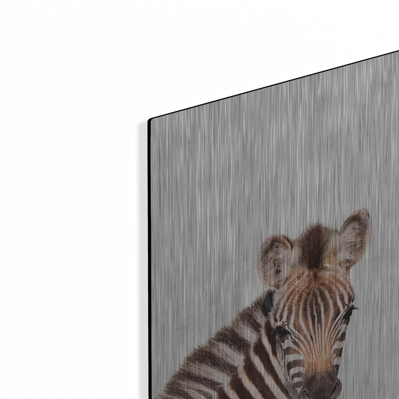 «Baby Zebra» par Tai Prints, H 16 po x l 12 po