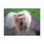 No Frame Print on Canvas-1376535479