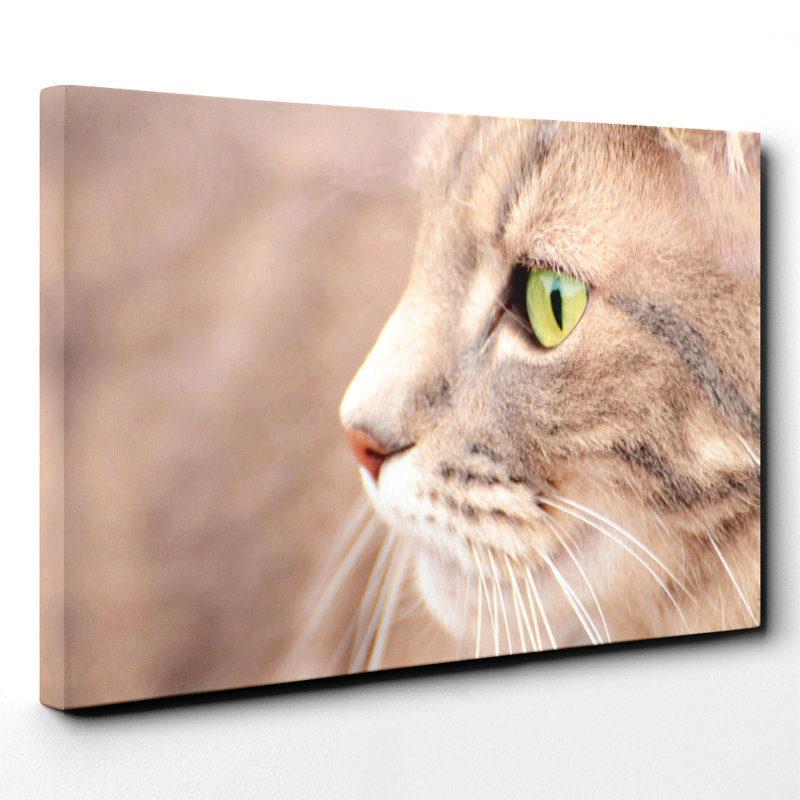 Cat Eyes Photographic - Wrapped Canvas, 70cm H x 100cm W