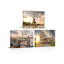 3 Piece Wrapped Canvas Wall Art