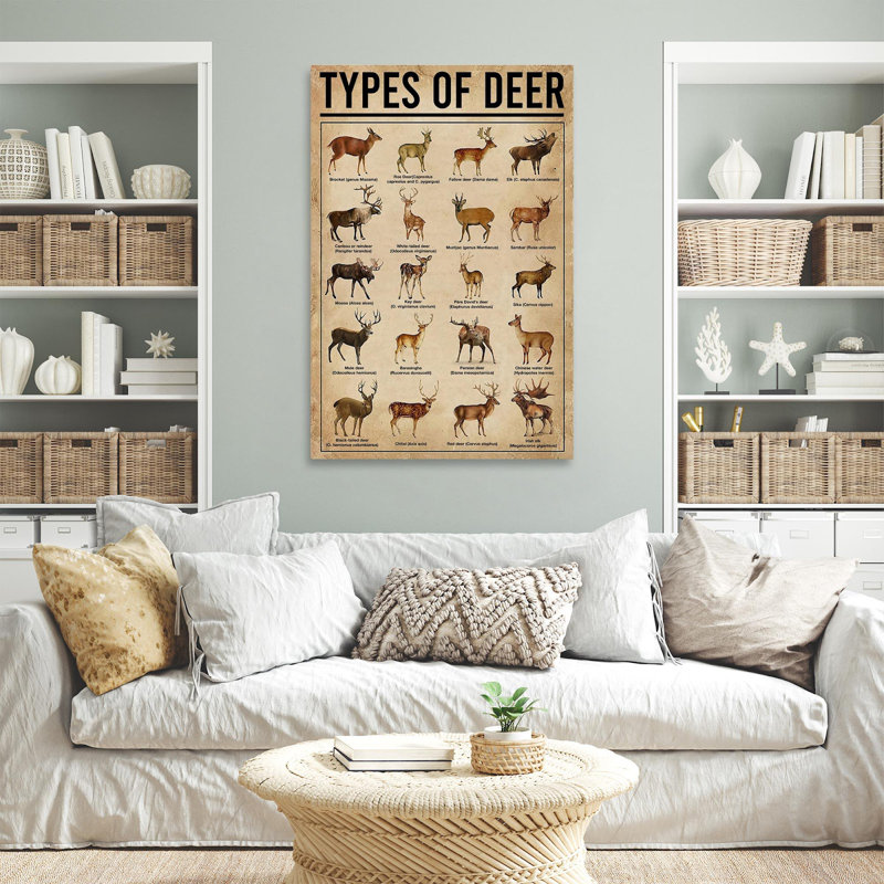 Types of Deer - impression sur toile tendue, H 36 po x l 24 po x P 1,25 po
