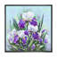 Fleurs et iris mauves en fleurs-1643949985-1643949979