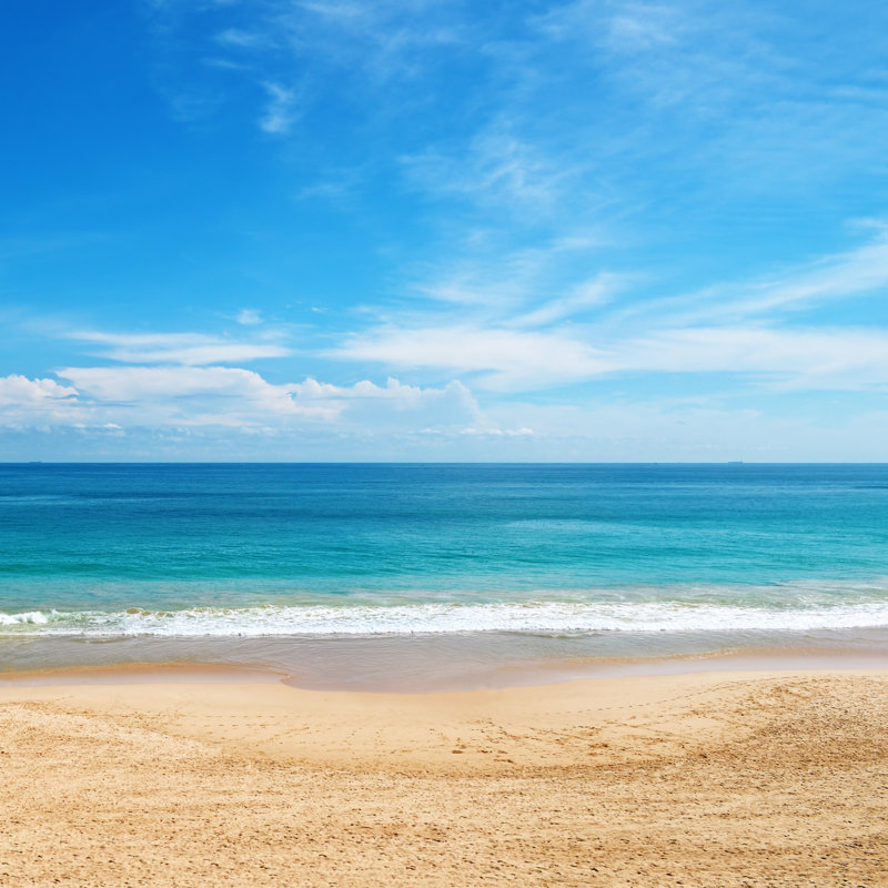 Tropical Sea - Wrapped Canvas Print, 30cm H x 30cm W x 3.8cm D
